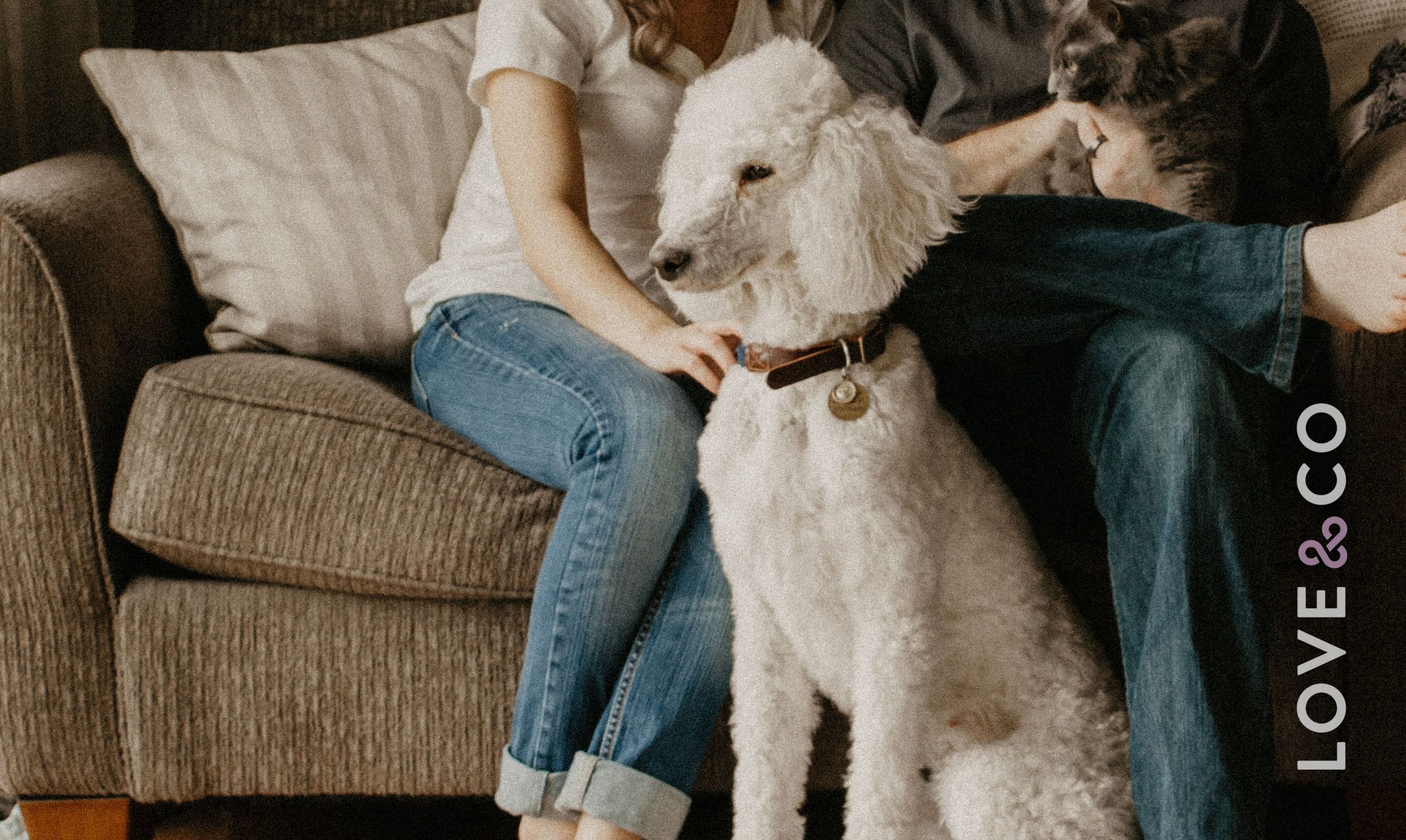 Landlords' Guide to Renting with Pets in Victoria