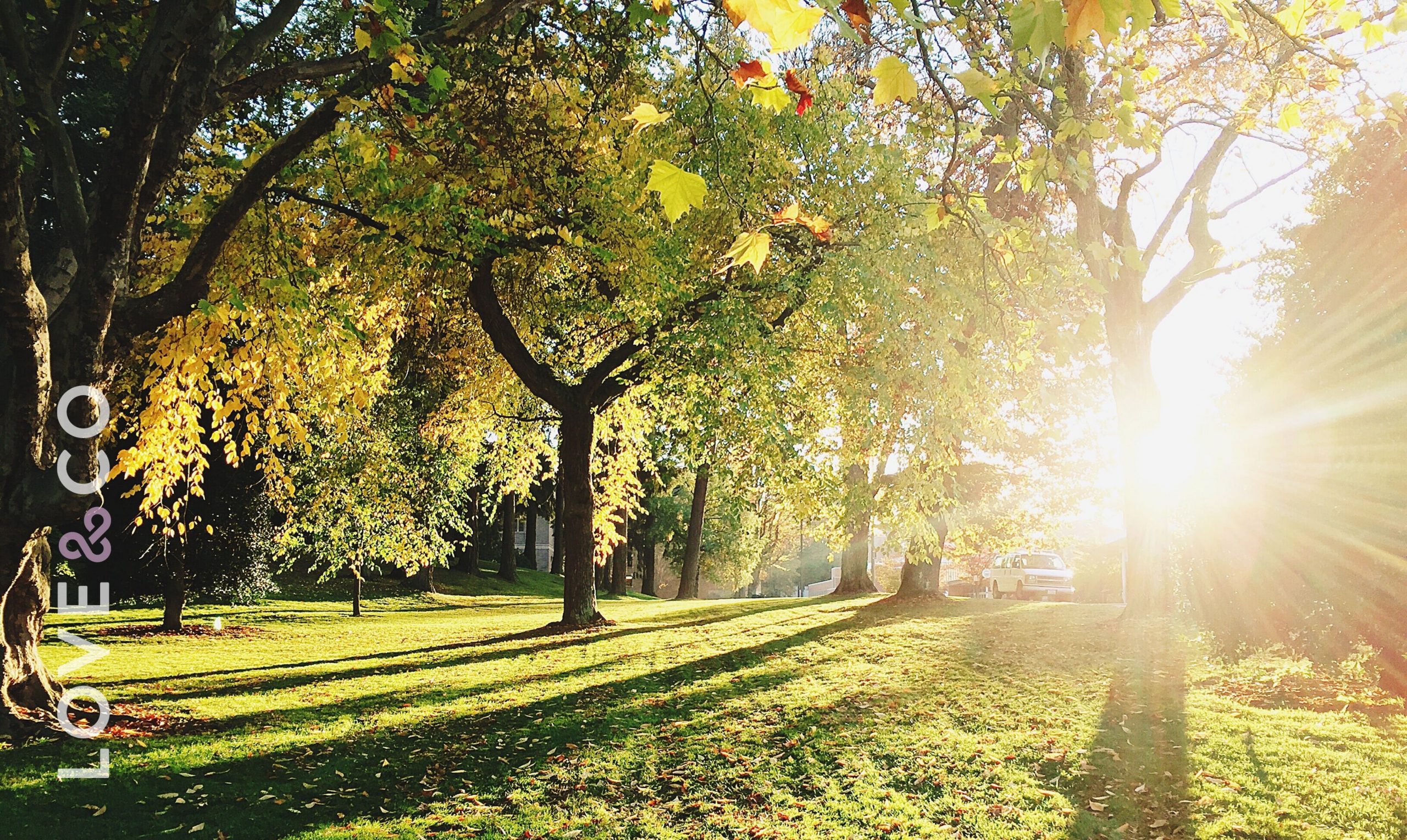 Why We Love Epping