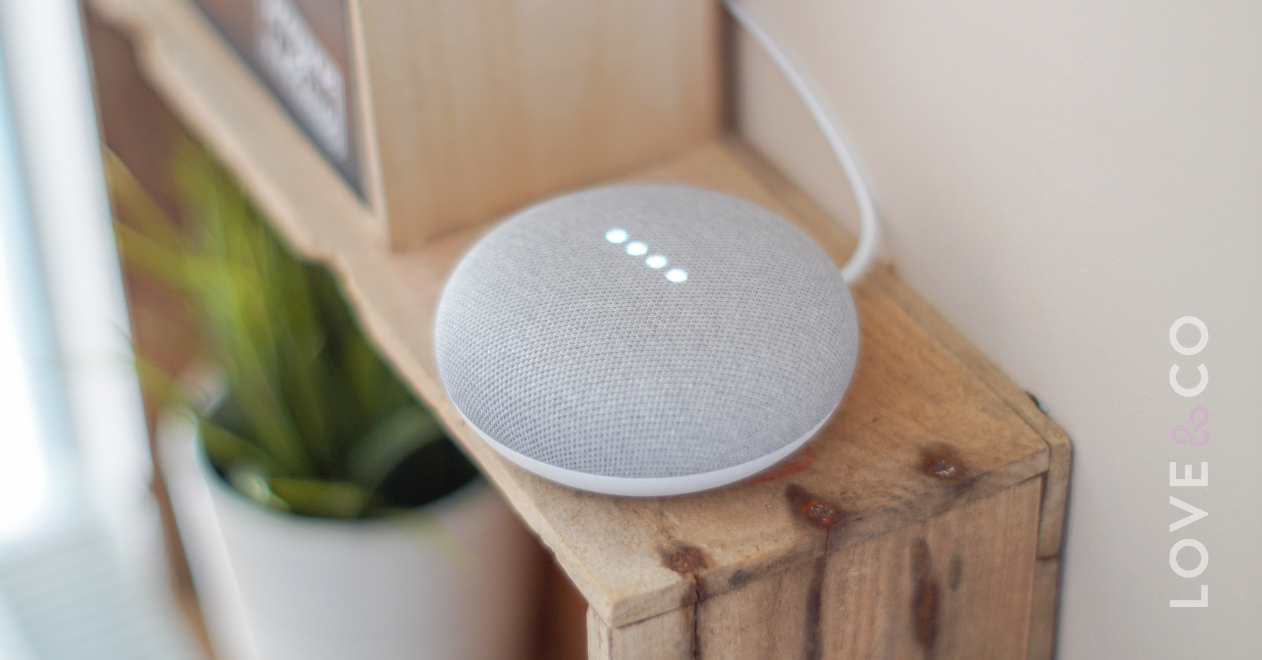 The Smart Home