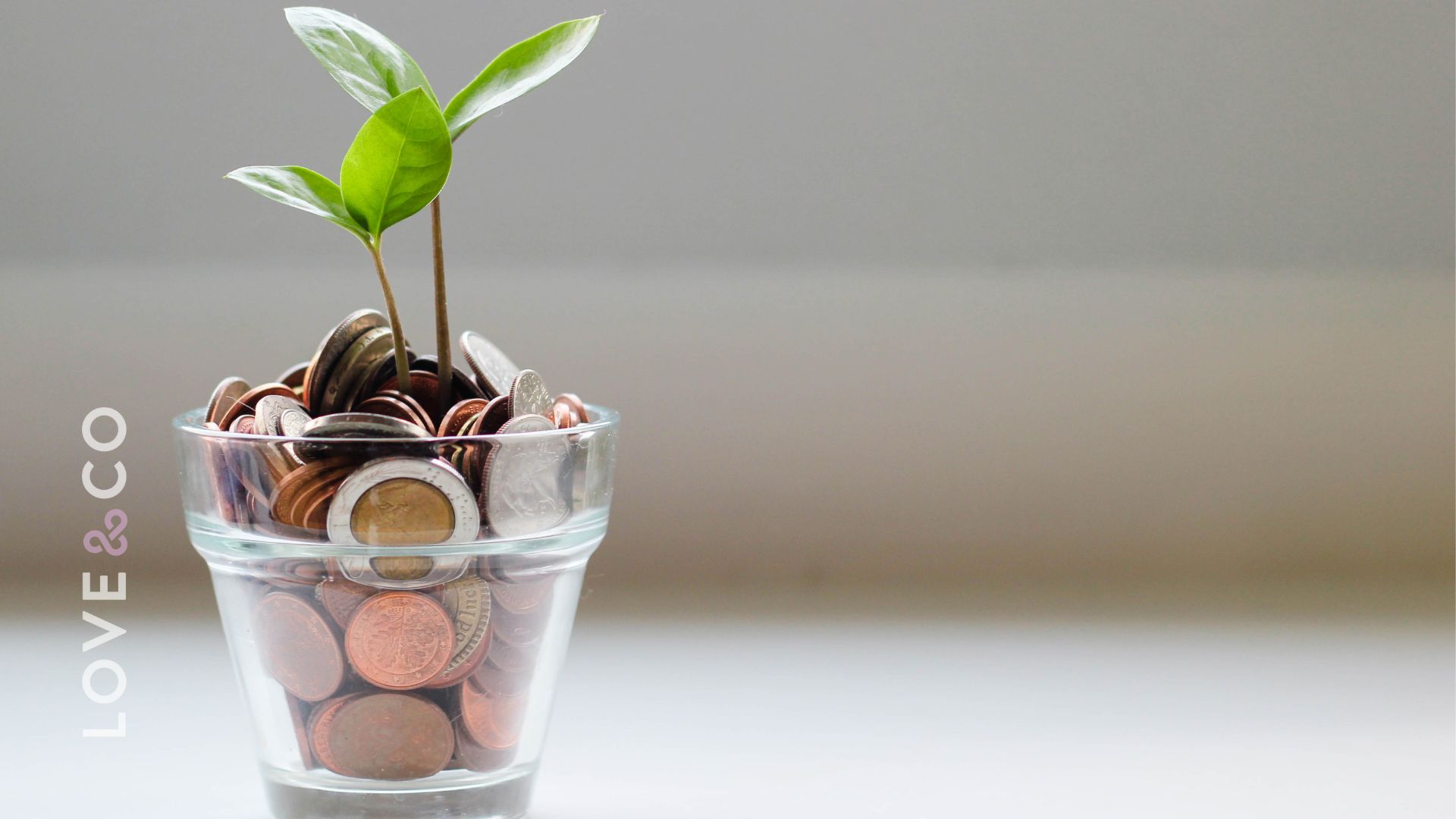 What is a Tax Depreciation Schedule, and How could It Help Me?